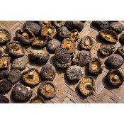 Champignons Shiitake Parfumés Séchés 4-6CM 500G/Sachet